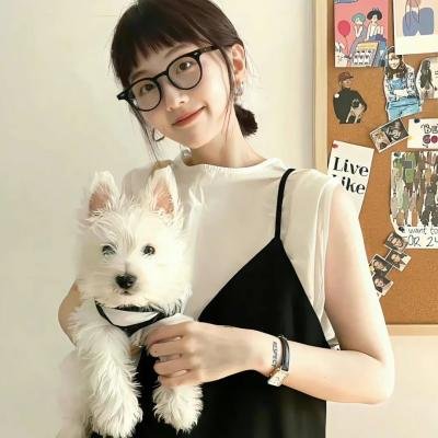 冬狮(电视剧)
